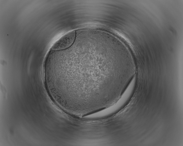 X0000090911467200708061513