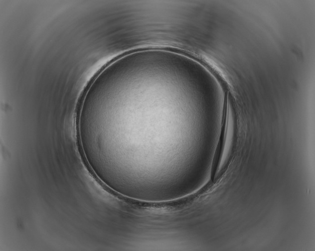 X0000090911468200708061513