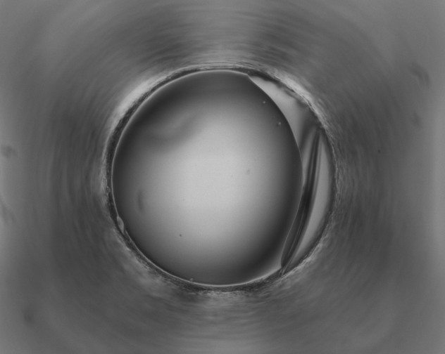 X0000090911469200708061513