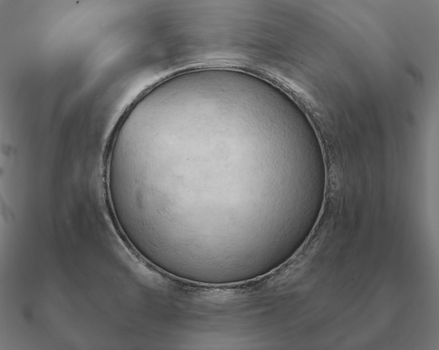 X0000090911470200708061513