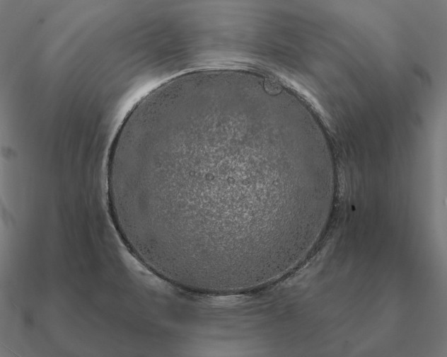 X0000090911471200708061513