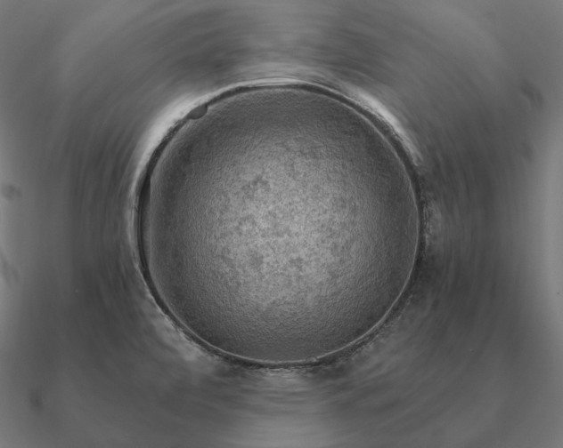 X0000090911472200708061513