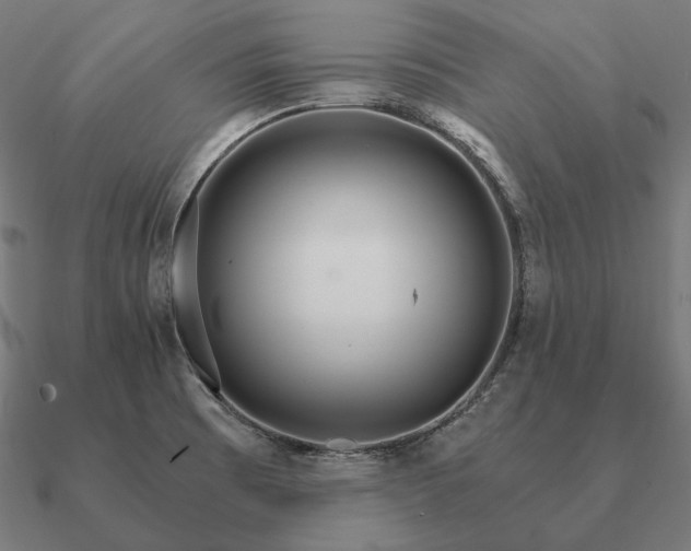 X0000090911473200708061513