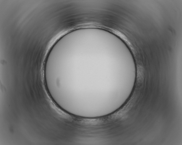 X0000090911474200708061513