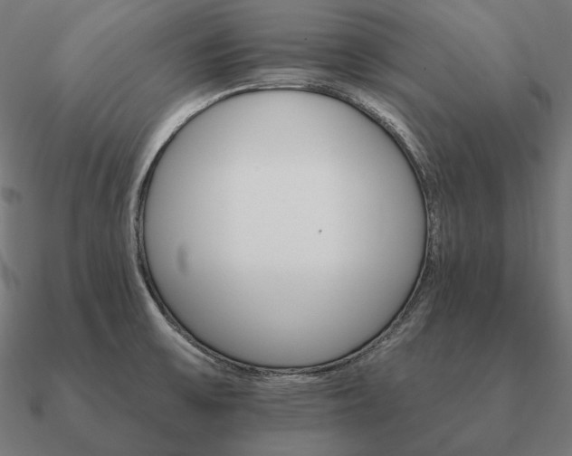 X0000090911475200708061513