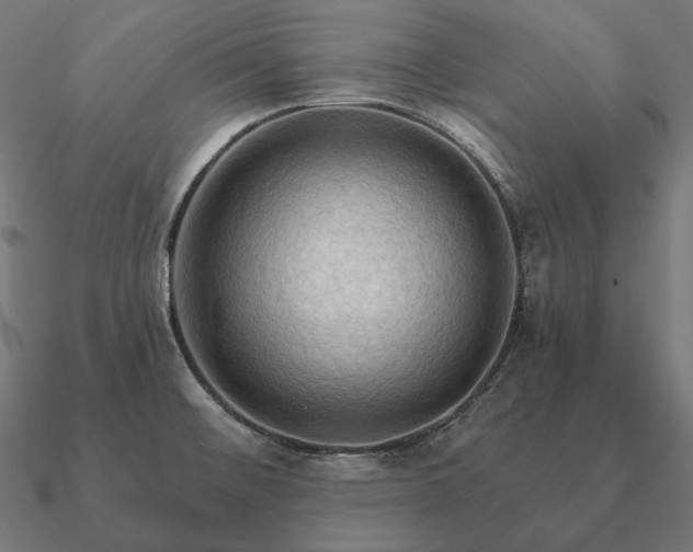 X0000090911476200708061513