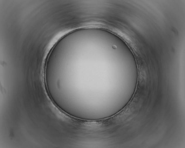 X0000090911478200708061513