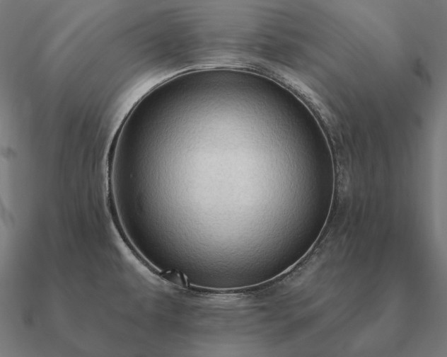 X0000090911479200708061513