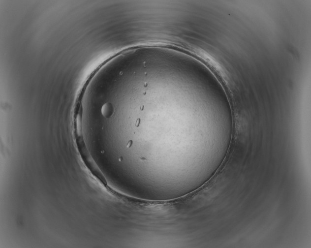 X0000090911480200708061513