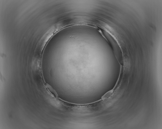 X0000090911481200708061513