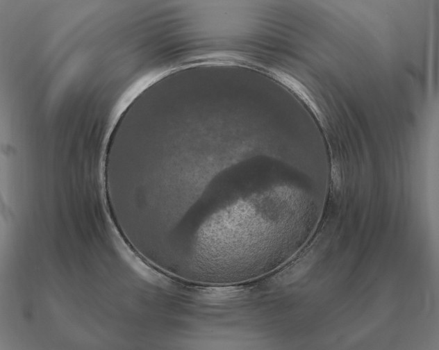 X0000090911482200708061513