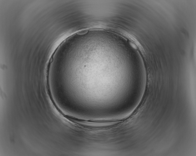 X0000090911483200708061513