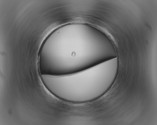 X0000090911484200708061513