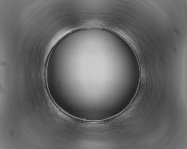 X0000090911486200708061513