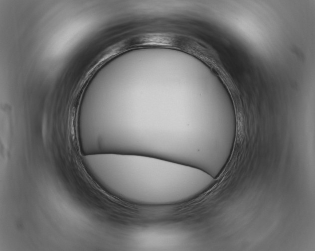 X0000090911487200708061513