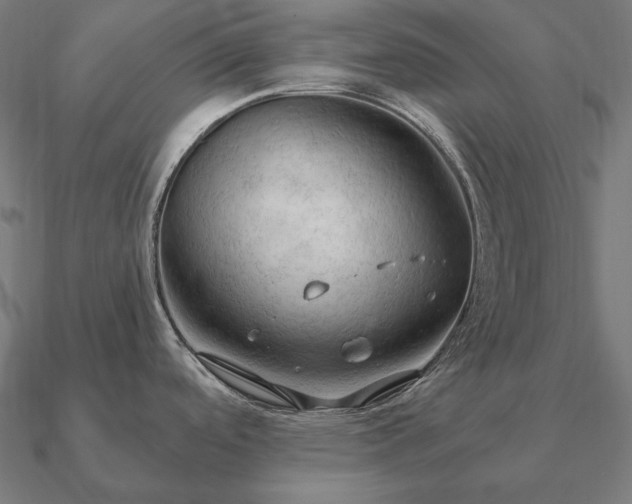 X0000090911488200708061513