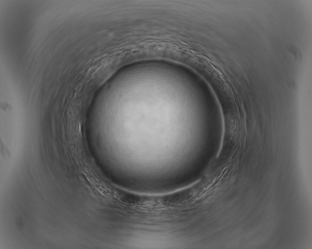 X0000090911489200708061512