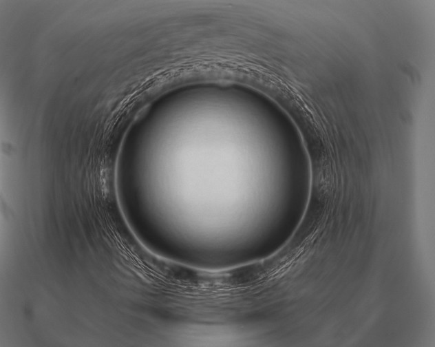 X0000090911490200708061513