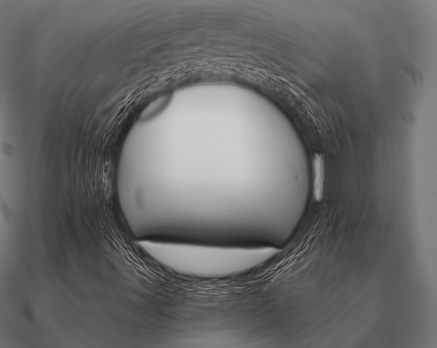 X0000090911491200708061513