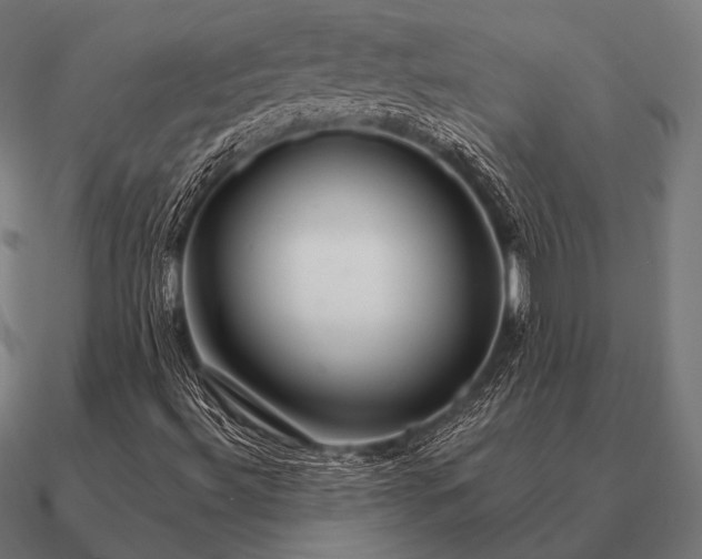 X0000090911492200708061513