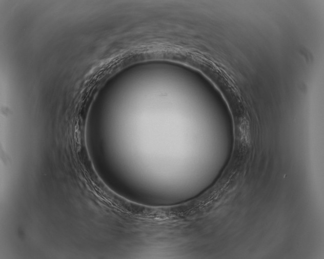 X0000090911493200708061513