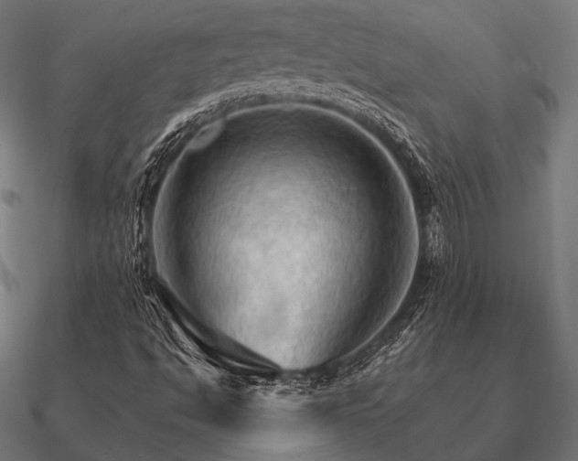 X0000090911494200708061513