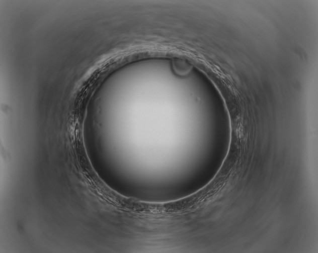 X0000090911495200708061513