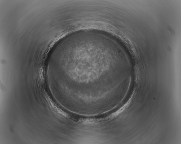 X0000090911497200708061513