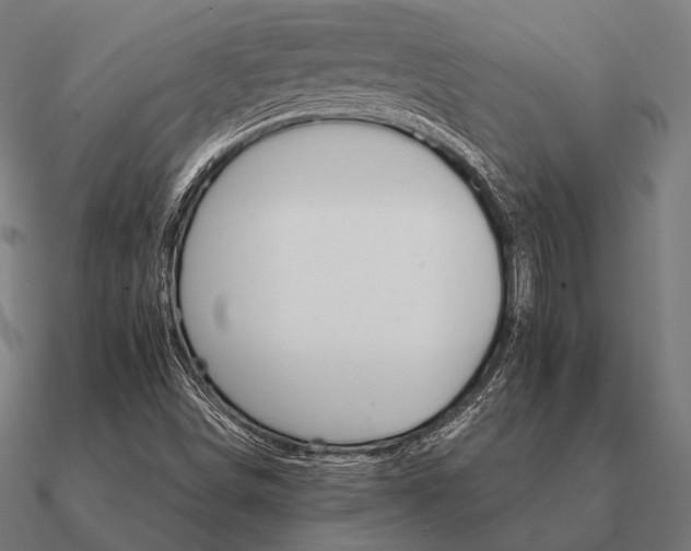 X0000090911498200708061513