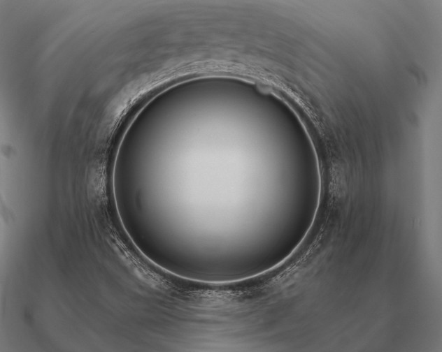 X0000090911499200708061513