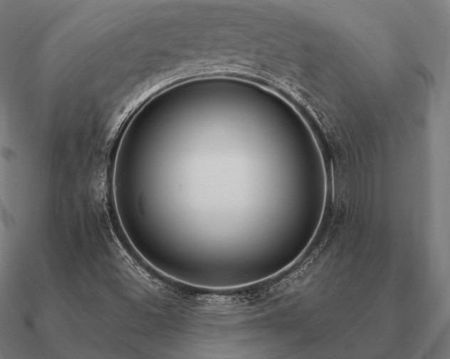 X0000090911500200708061513