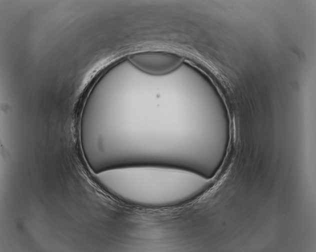 X0000090911501200708061513