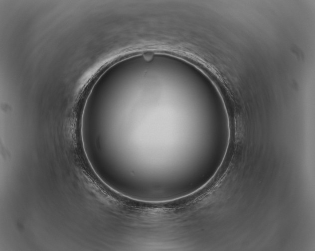 X0000090911502200708061513