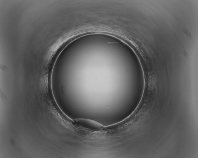 X0000090911503200708061513