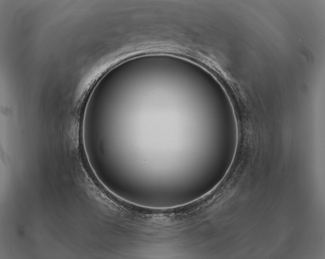 X0000090911504200708061513