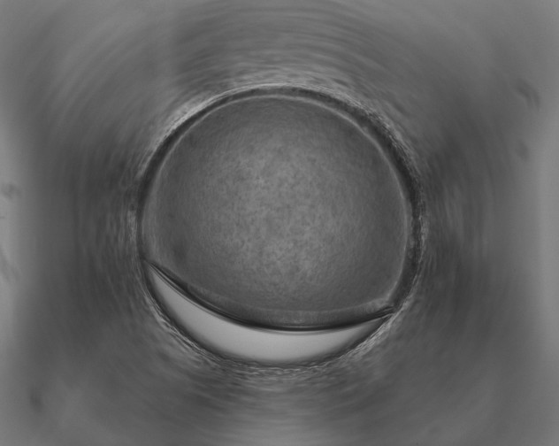 X0000090911505200708061513