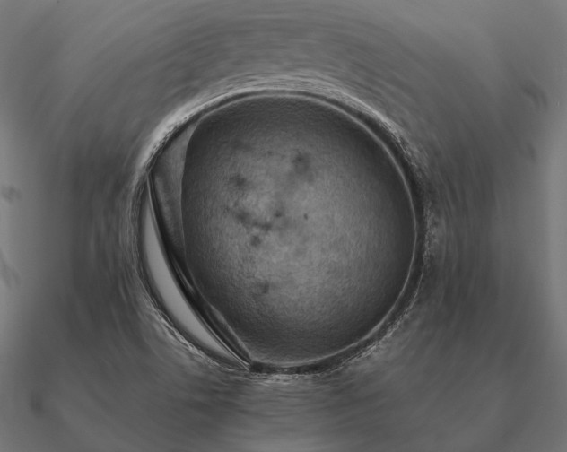 X0000090911506200708061513