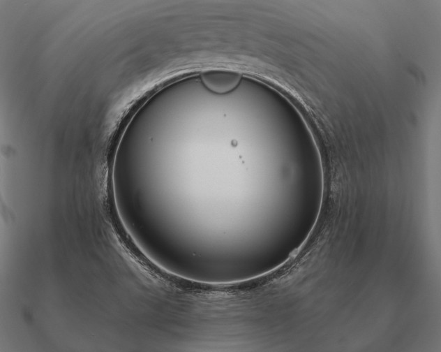 X0000090911507200708061513