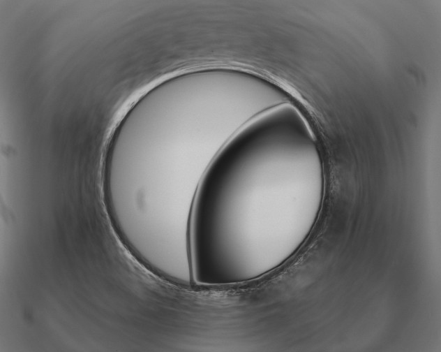 X0000090911508200708061513