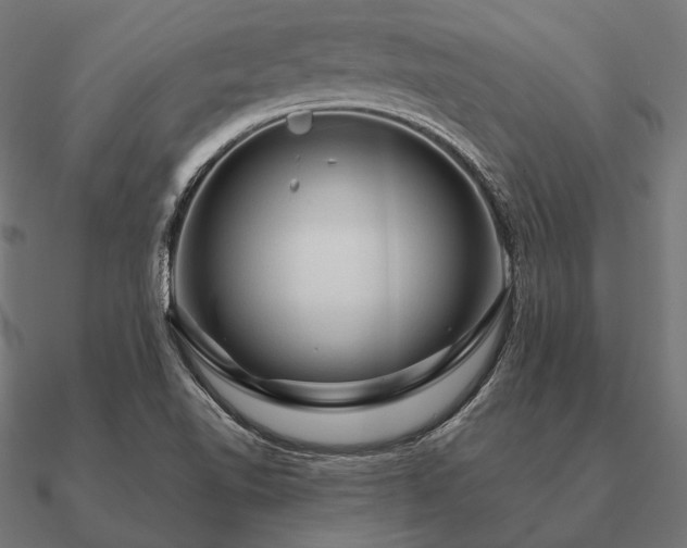 X0000090911510200708061513