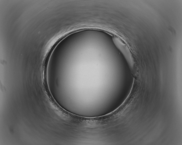 X0000090911511200708061513