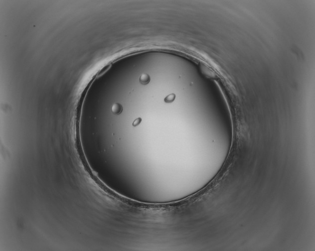 X0000090911512200708061513