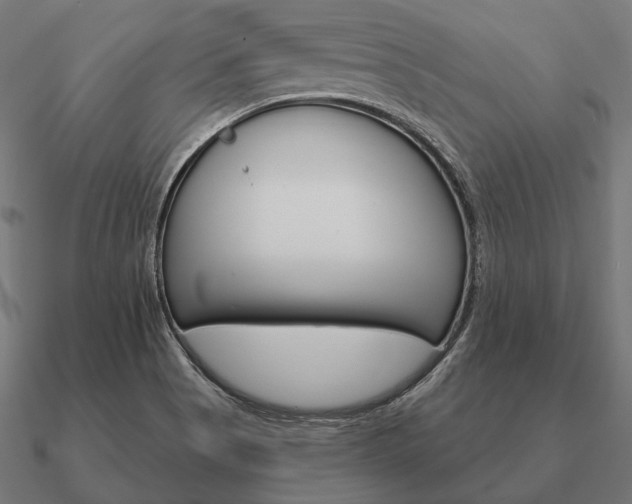 X0000090911513200708061513