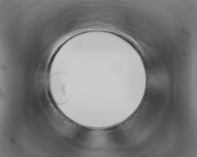 X0000090911514200708061513