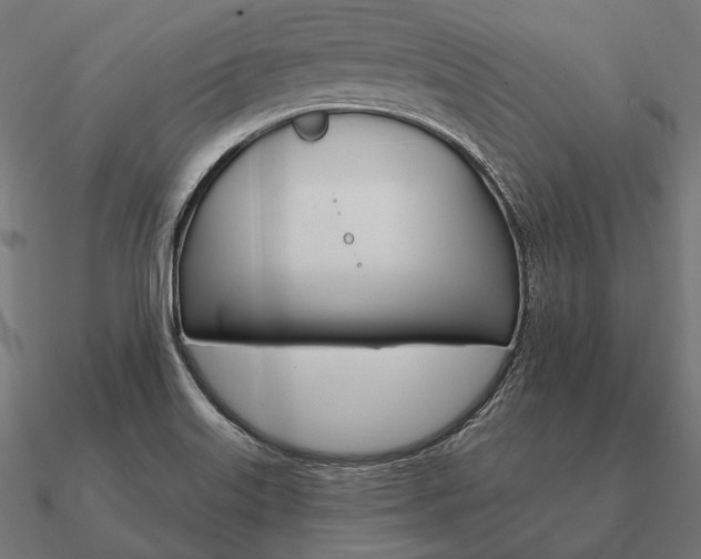 X0000090911515200708061513