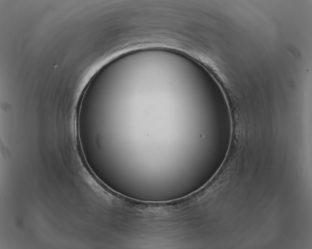 X0000090911516200708061513