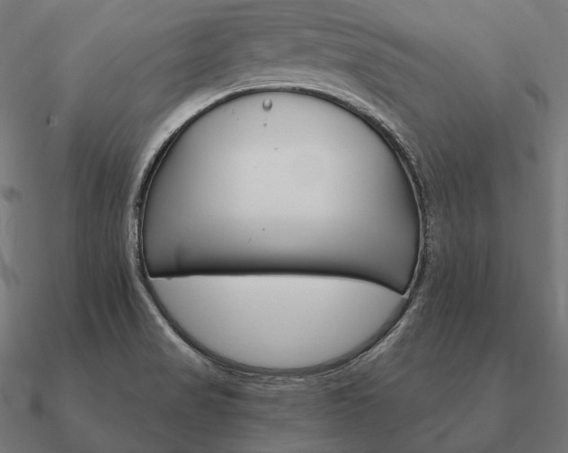 X0000090911517200708061513