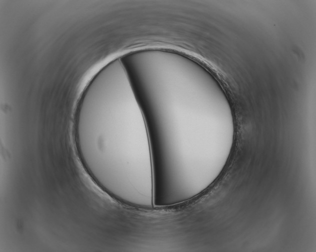 X0000090911518200708061513