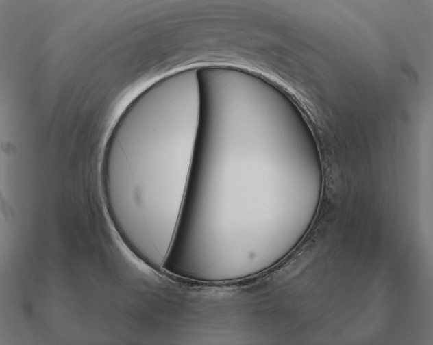 X0000090911519200708061513