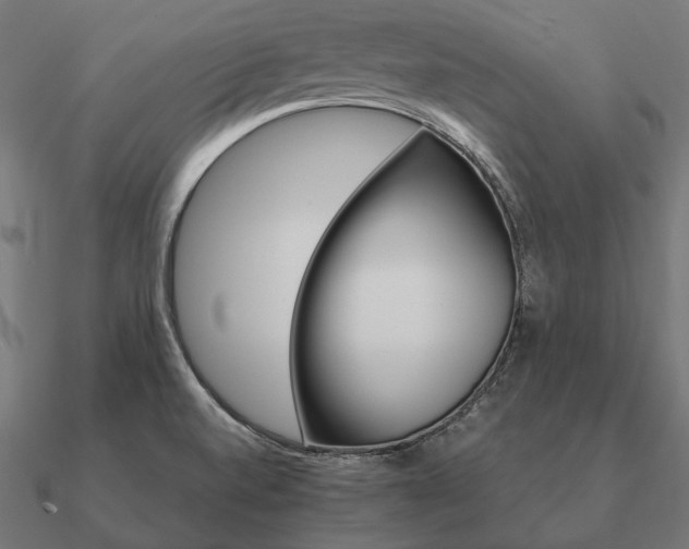 X0000090911520200708061513